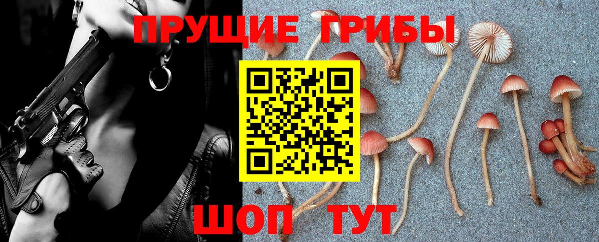 ГАШ  COCAIN  Где продают наркотики?  Гашиш  Меф кристаллы  Медногорск  Альфа ПВП СОЛЬ кристаллы  Бошки Шишки  Вход с VPN 
