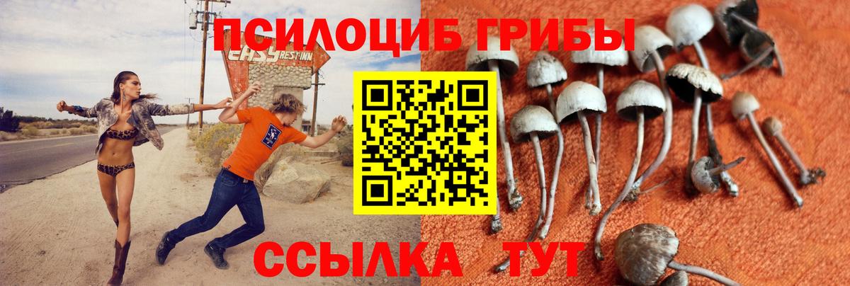 Галлюциногенные грибы мухоморы Медногорск