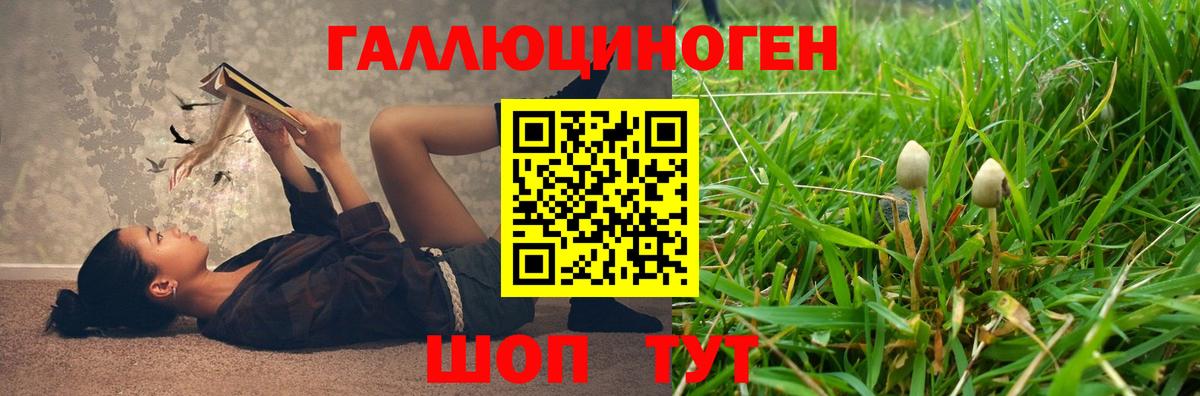 что такое наркотик  Вход с VPN  Медногорск  Псилоцибиновые грибы MAGIC MUSHROOMS 